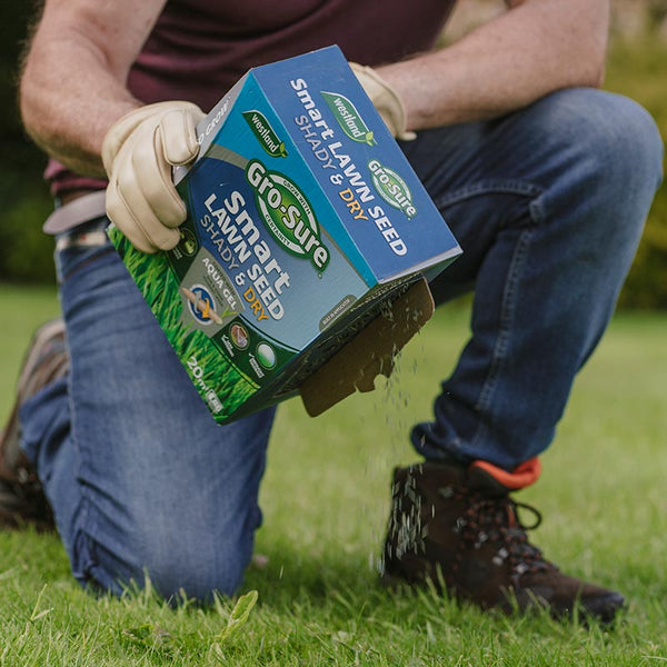 Westland Gro-Sure Smart Lawn Seed Shady & Dry - 20m sq. image 2