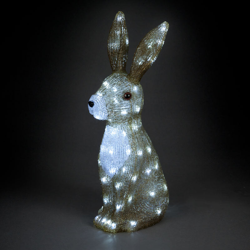 SnowTime LED Acrylic Hare image 0