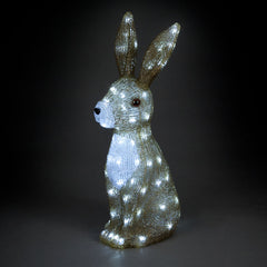 SnowTime LED Acrylic Hare image 0