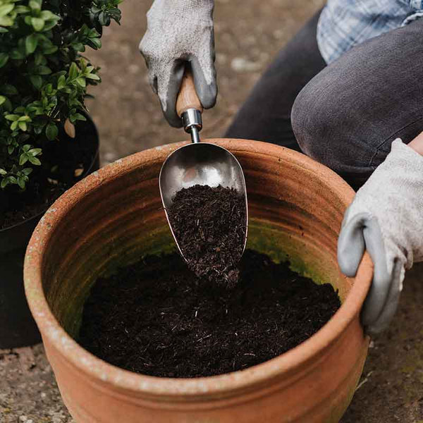 Kent & Stowe Stainless Steel Hand Potting Scoop image 2