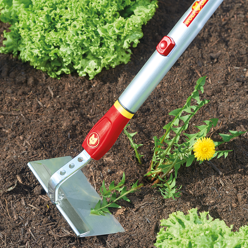 Wolf Garten multi-change Draw Hoe image 0