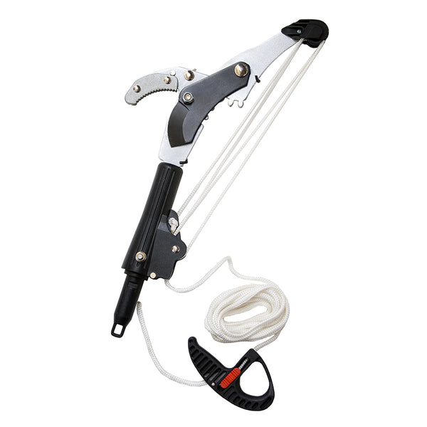 Darlac Telescopic 5m Tree Pruning Set image 3