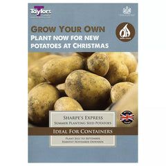 'Sharpe's Express' Christmas Harvest First Early Seed Potatoes (Pack of 10) image 0