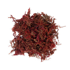 My Village Red Moss (30g) image 0