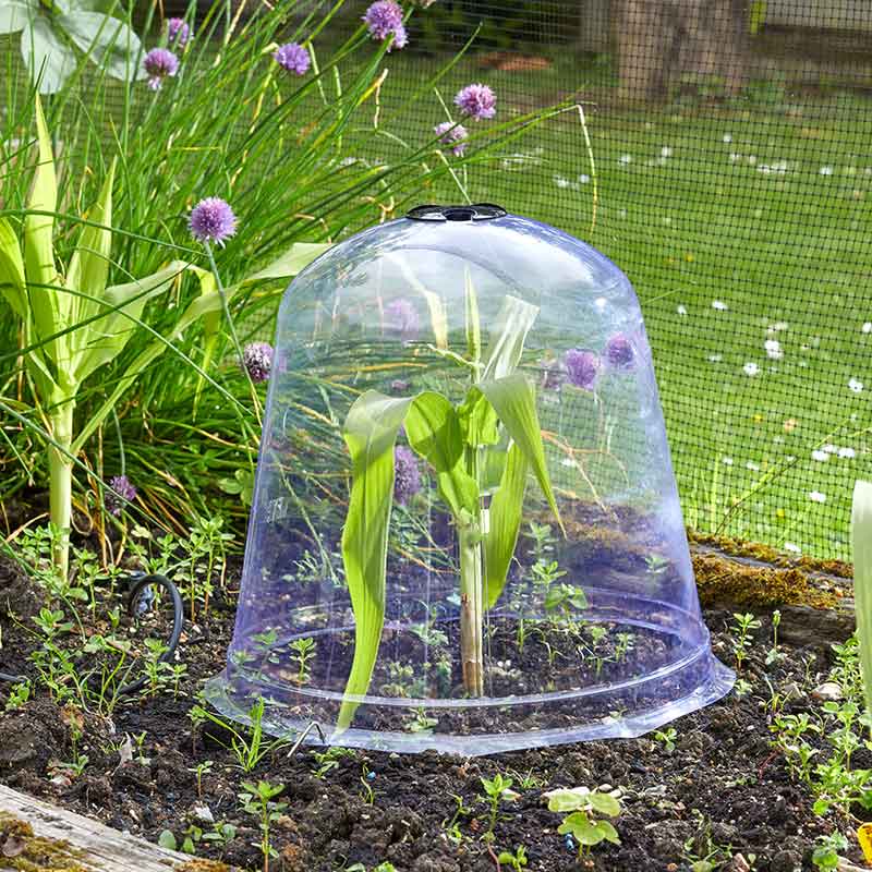GroZone Jumbo Bell Cloche image 0