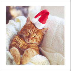 Woodmansterne Festive Cat Christmas Card image 0