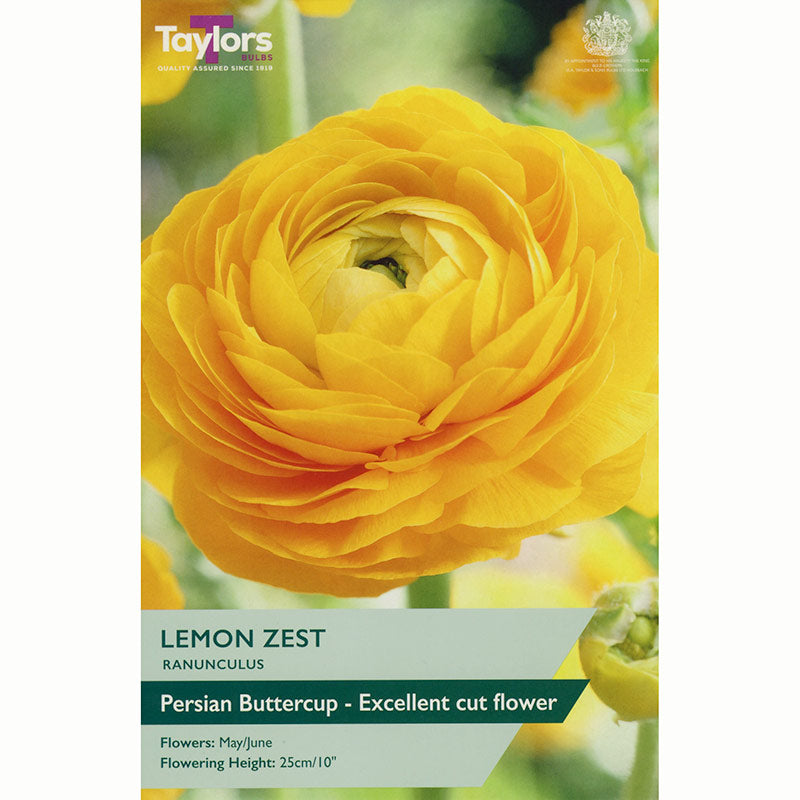 Ranunculus ‘Lemon Zest’ with Yellow Flowers (10 Bulbs) image 0