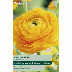 Ranunculus ‘Lemon Zest’ with Yellow Flowers (10 Bulbs) image 0