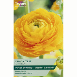 Ranunculus ‘Lemon Zest’ with Yellow Flowers (10 Bulbs) image 0