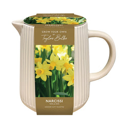 Indoor Jug Planter with Narcissus ‘Tête-à-tête’ (5 bulbs) image 0