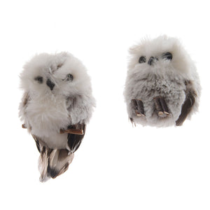 Decoris Grey Owl (Assorted Designs) image 0