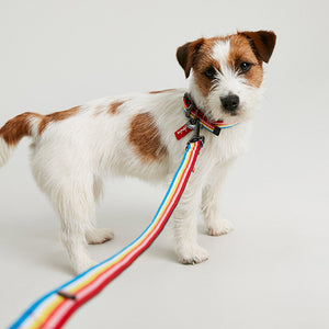 Joules Rainbow Stripe Dog Lead image 4