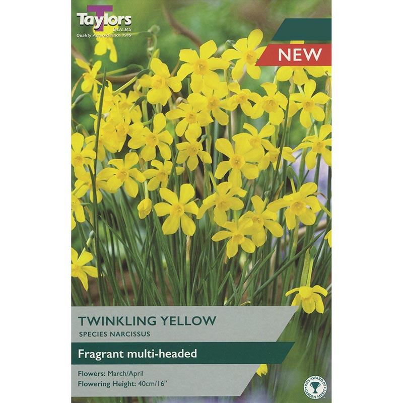 Narcissus ‘Twinkling Yellow’ Daffodil (7 Bulbs) image 0