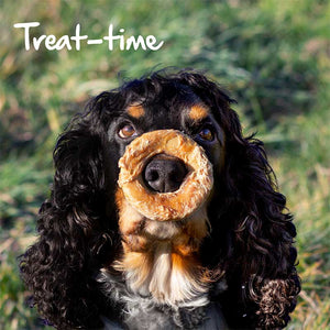 Cupid & Comet Mixed Meat Donut Trio for Dogs image 1