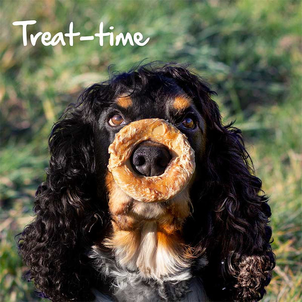 Cupid & Comet Mixed Meat Donut Trio for Dogs image 1