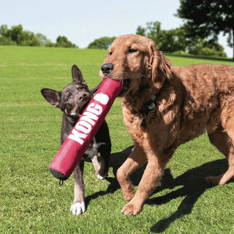 Kong Signature Stick Dog Toy image 0