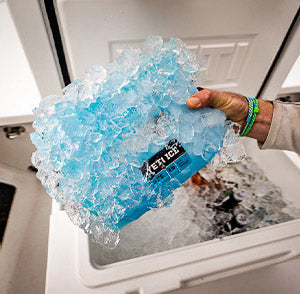 YETI Ice Block image 1