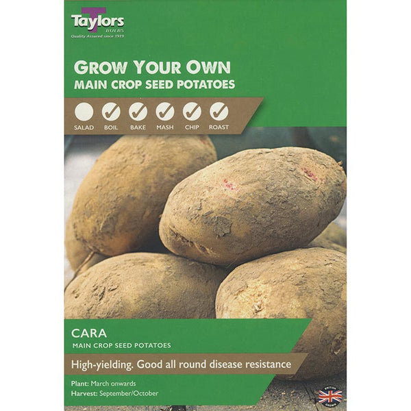 Cara Main Crop Seed Potatoes - Pack of 10 image