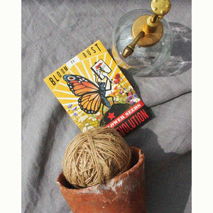 Bloom or Bust Native Shady Meadow Wild Flower Seed Mix (1 Packet) image 0
