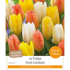 Tulip ‘Fruit Cocktail’ (12 Bulbs) image 0