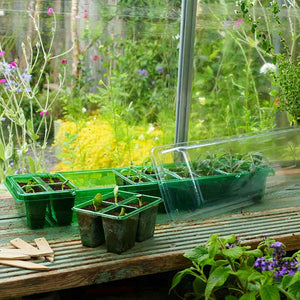 Gro-Sure Visiroot Windowsill Propagator image 3