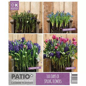 Lasagne Planting Bulb Mix 'Pink & Blue' (40 bulbs) image 1