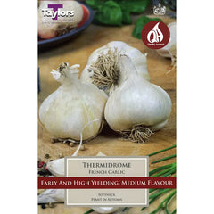 'Thermidrome' French Garlic (2 Bulbs) image 0