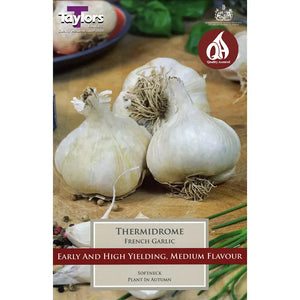 'Thermidrome' French Garlic (2 Bulbs) image 0