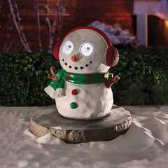 Smart Garden Lit Blinkin’ Frosty Ornament image 0
