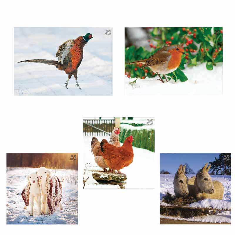 National Trust 'Hi There!' Charity Christmas Card Assortment Box (Pack of 20) image 0