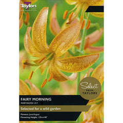 Martagon Lily 'Fairy Morning' (2 bulbs) image 0
