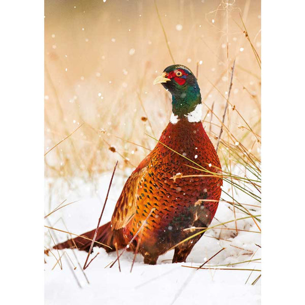 Ling Design Big Value Box - Christmas Animals (Pack of 24) image 3