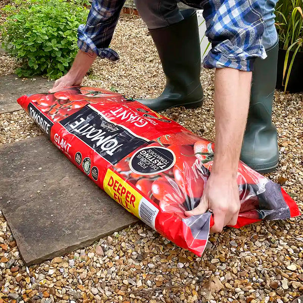 Levington Tomorite Giant Tomato Planter (52 litres) image 2