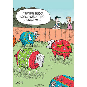 Woodmansterne Christmas Sheep Christmas Card image 0