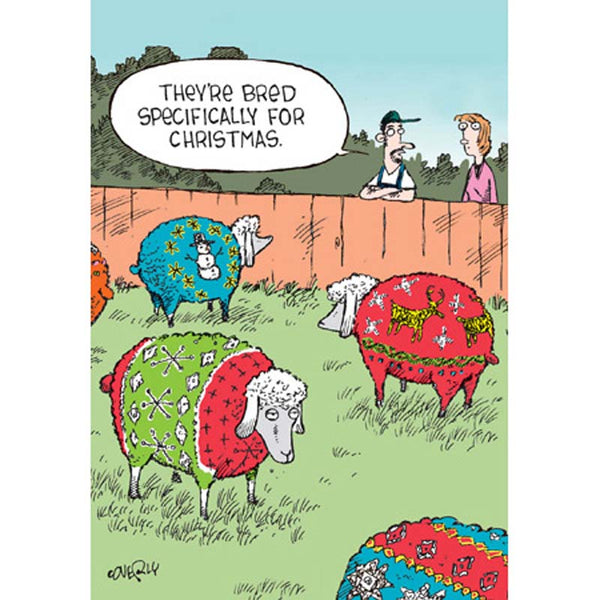 Woodmansterne Christmas Sheep Christmas Card image 0