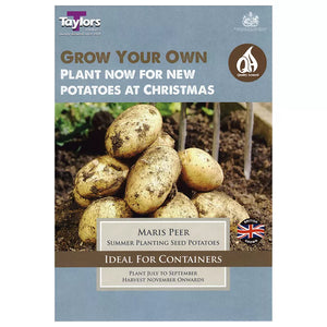'Maris Peer' Christmas Harvest Summer Planting Seed Potatoes (Pack of 10) image 0