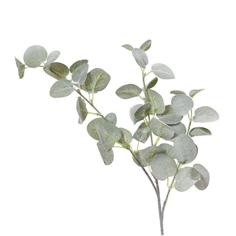 Everlands Eucalyptus Stem with Flock Finish (69cm)