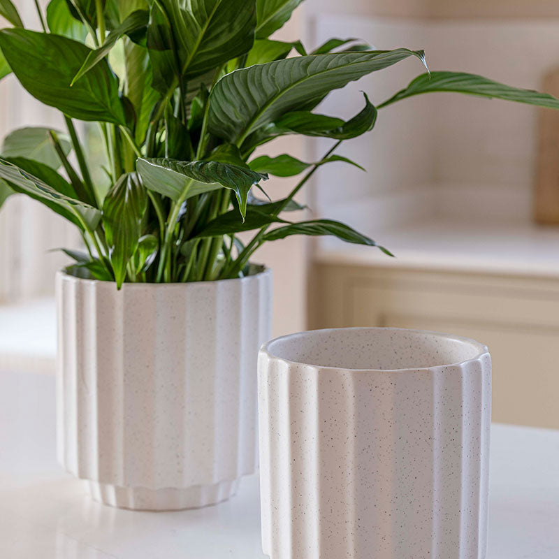 Ivyline Bourton Scalloped Indoor Planter Range image 0