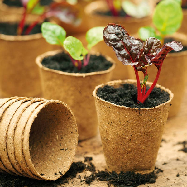 Gro-Sure Fibre Root Pot 8cm Round image 4