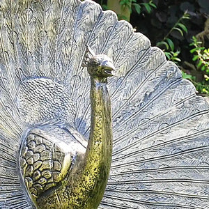 Home & Garden UK Head Up Peacock Garden Statue image 1