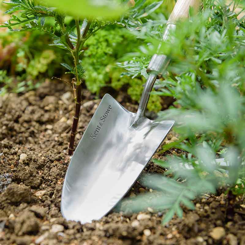Kent & Stowe Stainless Steel Border Hand Trowel image 0
