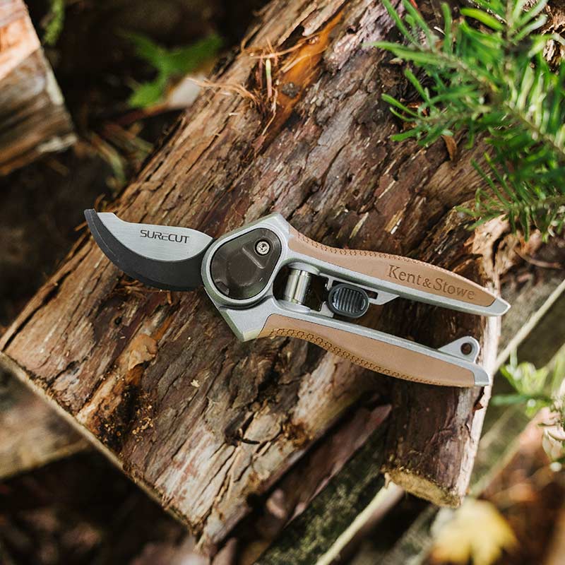 Kent & Stowe Garden Life All Purpose Mini Bypass Secateurs (Cutting dia. 15mm) image 0