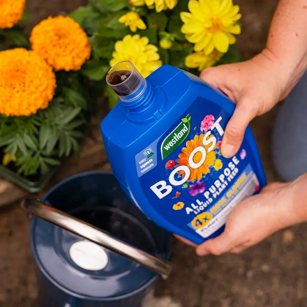 Westland Boost All Purpose Liquid Plant Food (1 litre) image 2