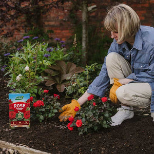Westland Rose Food Enriched with Horse Manure (1kg) image 1