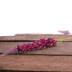 Lavender Veronica Spray (74cm) image 0