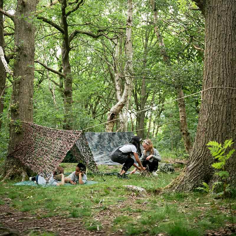 The Forest Den Kit image 0