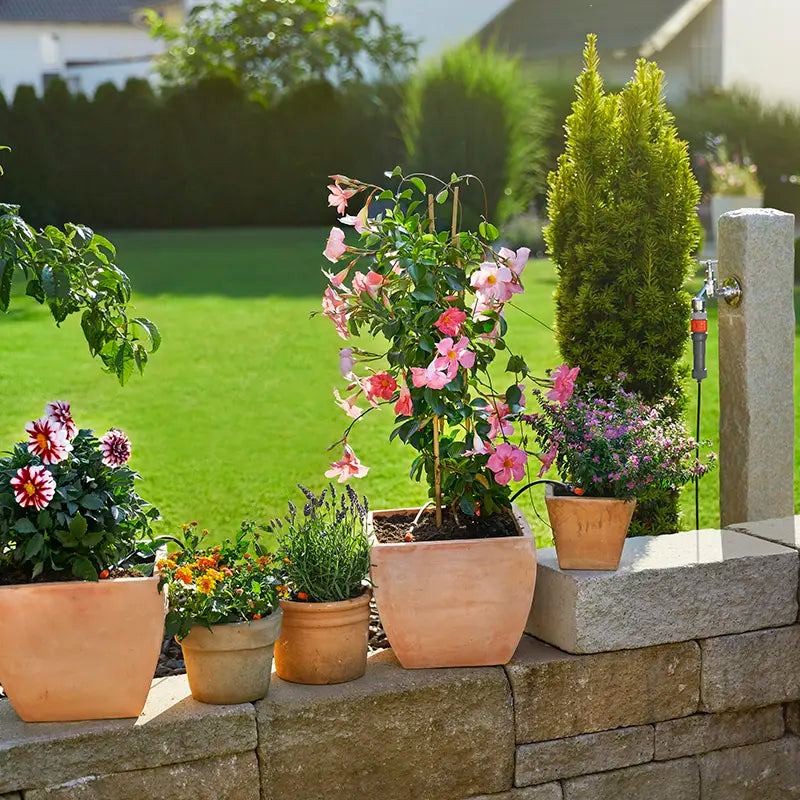 GARDENA Micro-Drip System Starter Set for 5 Flower Pots - Small image 0