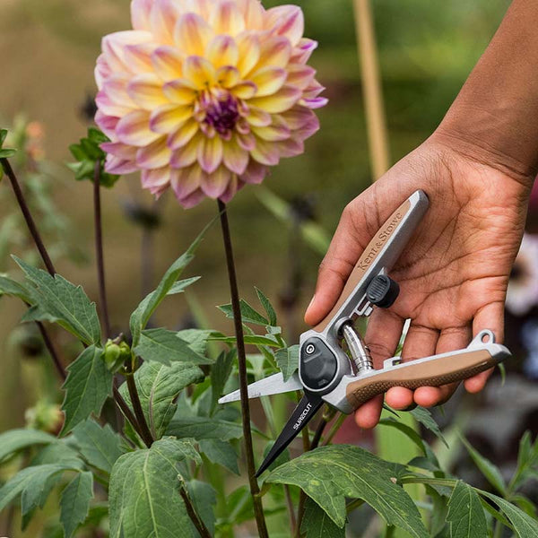 Kent & Stowe Garden Life Flower Snips image 2