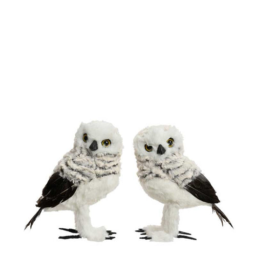 Decoris Standing Grey Owl (Assorted Designs) image 1