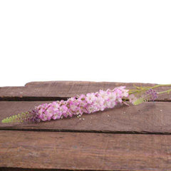 Pink Veronica Spray (74cm) image 0